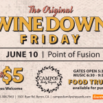 The Original Wine Down Friday – Point of Fusion