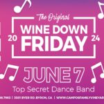 The Original Wine Down Friday - Top Secret Dance Band